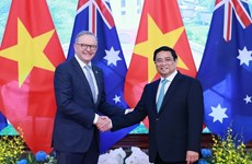 Le Vietnam et l’Australie disposent d’un vaste potentiel de développement dans des domaines