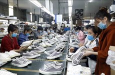 Signes prometteurs pour les exportations de cuir et de chaussures en 2024