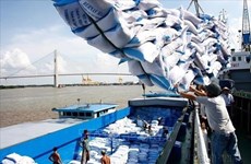 L'Indonésie importe 300 000 tonnes de riz de Thaïlande et du Pakistan