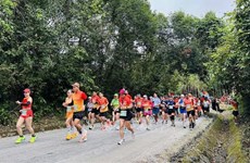 Près de 2.400 coureurs participent à Quang Binh Discovery Marathon 2024