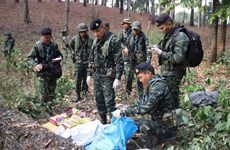 La Thaïlande saisit d'importantes quantités de drogue dans une province frontalière