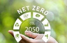 Heure de la Terre 2024 : objectif de net zéro à 2050