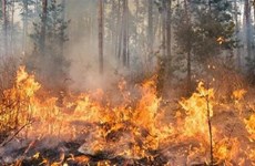 La Thaïlande fait des efforts supplémentaires pour lutter contre les incendies de forêt