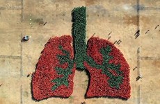 Les Philippines établissent un record mondial pour la plus grande image de poumon humain