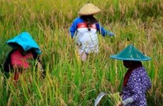 Indonésie : la saison sèche sera moins sévère cette année