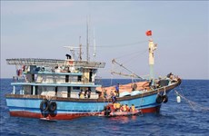 Quang Binh s'efforce de lutter contre la pêche INN  