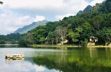 Le parc national de Cuc Phuong choisit la voie de l’écotourisme