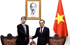 L'AIEA s'engage à renforcer sa coopération avec le Vietnam