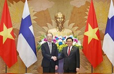 Le président de l'AN du Vietnam Vuong Dinh Huê s'entretient avec son homolgue finlandais