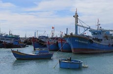 Kien Giang intensifie la communication sur la pêche INN