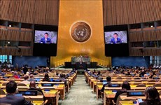 ONU : l'Assemblée générale adopte une résolution présentée par le Vietnam sur la Journée internationale du jeu