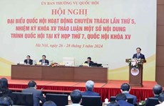 Les députés à plein temps tiennent leur 5e réunion à Hanoi