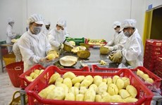 Les exportations de fruits et légumes en forte hausse