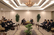 Ho Chi Minh-Ville veut renforcer la coopération avec les localités nord-coréennes