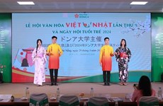 Le Festival culturel Vietnam-Japon 2024 à Da Nang