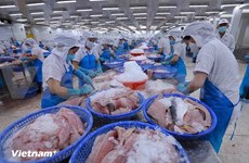 Pour le développement durable et l’intégration de la pêche vietnamienne