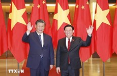 L'ambassadeur vietnamien souligne l'importance de la visite du président de l'AN en Chine