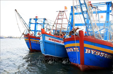 Pêche INN : Le nombre de bateaux contrevenants chute à Bà Ria-Vung Tàu