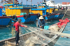 Binh Thuân déterminée à ne laisser aucun navire de pêche violer les eaux étrangères