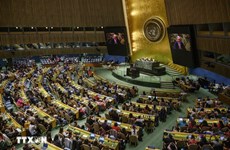 Le Vietnam et Cuba coopèrent étroitement dans d’importants processus de l’ONU