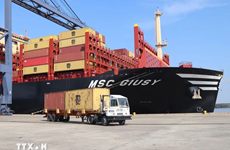 Un porte-conteneurs de plus de 170.000 DWT accoste à Ba Ria - Vung Tàu