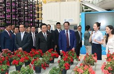 Le président de l'AN visite des modèles économiques typiques de la province du Yunnan