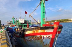 La lutte contre la pêche illicite va changer l’industrie de la pêche au Vietnam