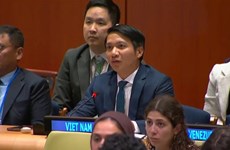 La jeunesse vietnamienne s’engage contre le changement climatique