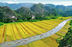 Le complexe paysager de Trang An présenté sur Google Arts & Culture