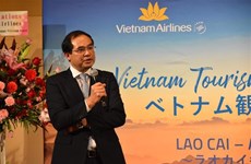 La province de Lao Cai appelle à davantage d'investissements japonais