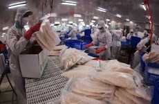 Exportations de poisson tra vers les Émirats arabes unis en hausse de 67 % au premier trimestre