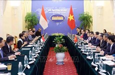 La Commission mixte de coopération Vietnam-Indonésie se réunit à Hanoi