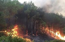 Le PM demande la mise en œuvre de mesures drastiques de prévention et de lutte contre les incendies de forêt