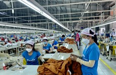 Les entreprises européennes renforcent leur présence au Vietnam 