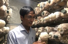 Les produits agricoles montent en gamme et en qualité à Lâm Dông