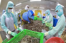 Les ventes de crevettes devraient rapporter 4,2 milliards de dollars en 2022