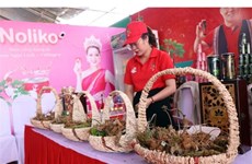 Les ginsengs de Ngoc Linh exhibent leurs racines en pleine foire à Kon Tum