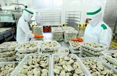 La conchyliculture vietnamienne confirme son succès à l’export 