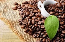 Les exportations de café ont dépassé deux milliards de dollars en cinq mois