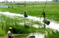 Changement climatique: les Pays-Bas soutiennent le delta du Mékong