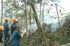 Les incendies au Parc national Hoàng Lien ont été contrôlées 