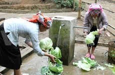 Projet d’eau propre de la BM pour 10.000 foyers à Hà Nam 