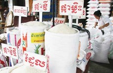 Le Cambodge veut produire du riz de haute qualité 