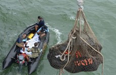 Indonésie: deux "grandes parties" de l'avion d'AirAsia retrouvées au fond de la mer 
