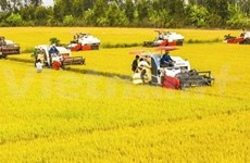 Les produits agricoles vietnamiens à la conquête du marché mondial 