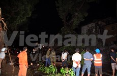Hanoi : un orage d'une violence exceptionnelle fait deux morts et cinq blessés 