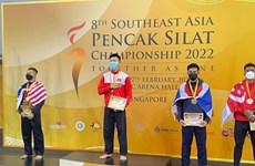 Pencak silat : le Vietnam remporte 9 médailles d'or du 8e Championnat d’Asie du Sud-Est 