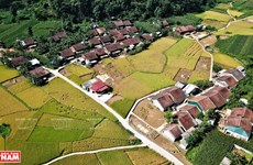 Le village des bâtonnets d'encens de l’ethnie Nùng