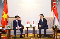 Vietnam et Singapour renforcent les échanges d'amitié entre les députés