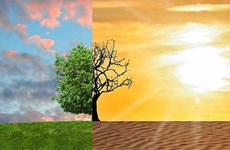 Améliorer l’efficacité de la gestion du changement climatique et protéger la couche d’ozone